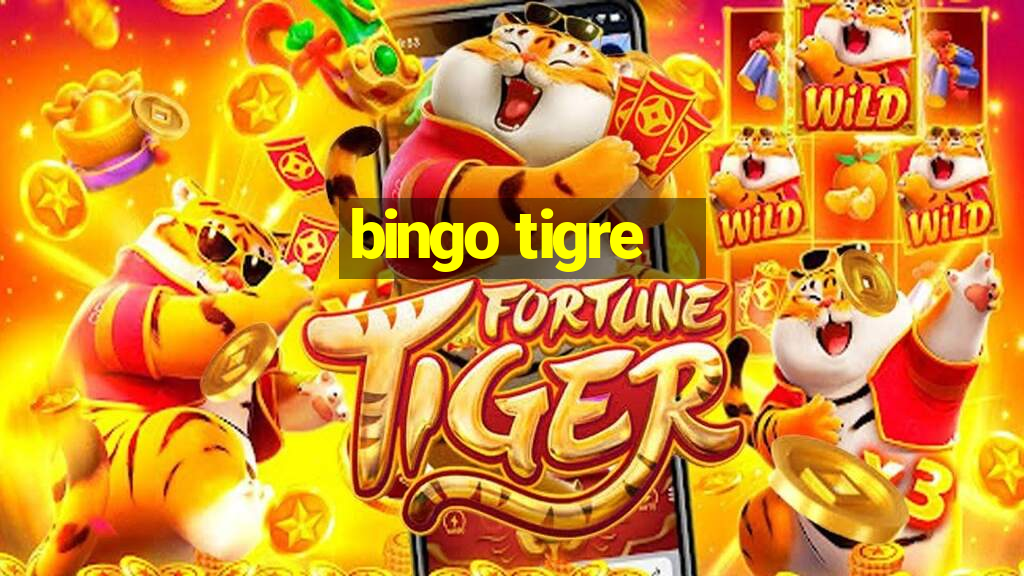 bingo tigre