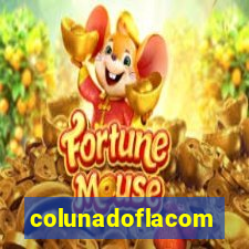 colunadoflacom