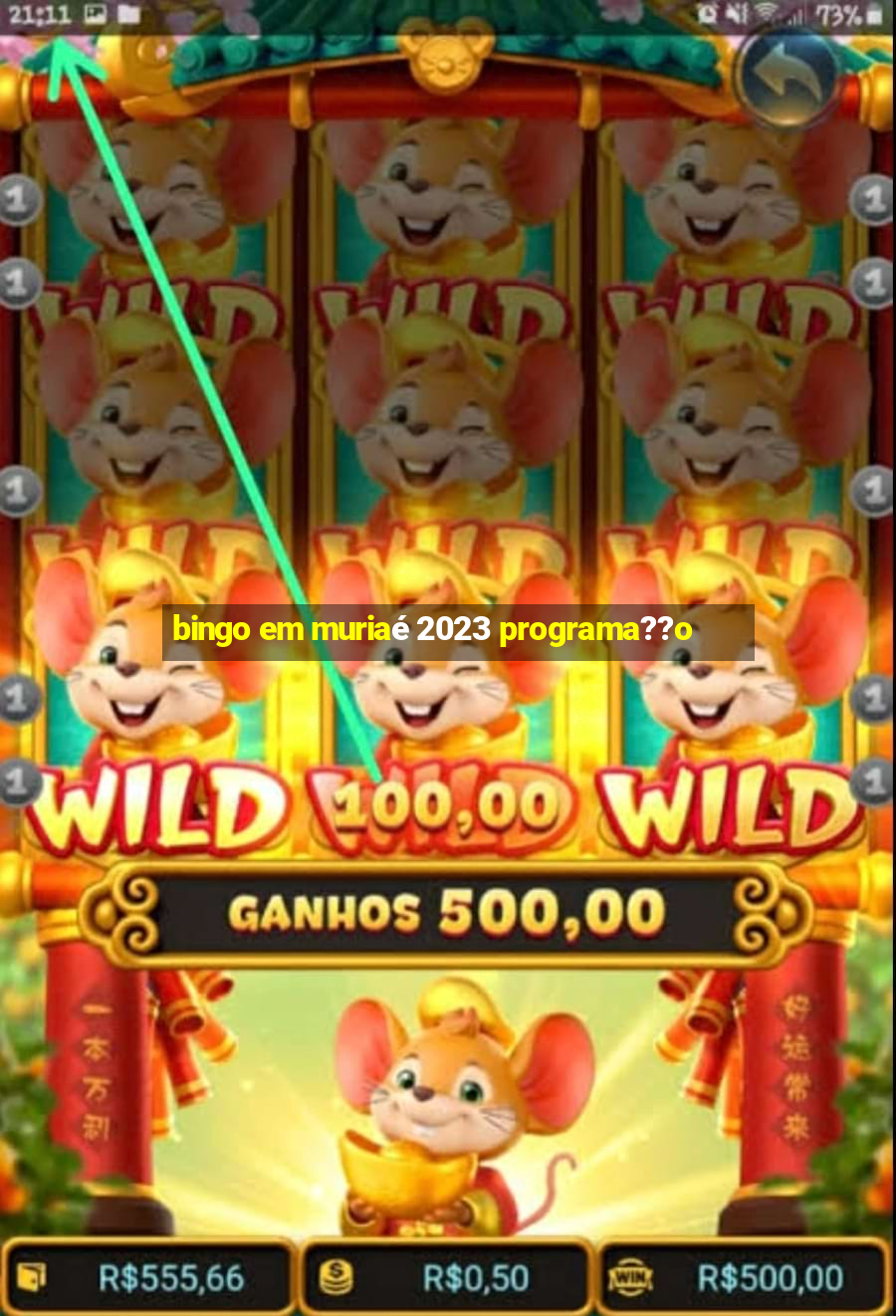 bingo em muriaé 2023 programa??o