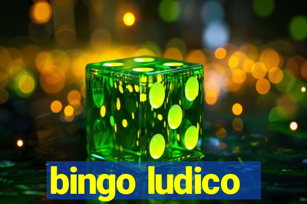 bingo ludico