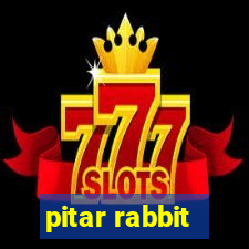 pitar rabbit