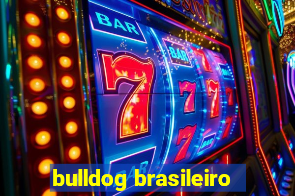 bulldog brasileiro