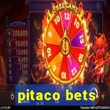 pitaco bets