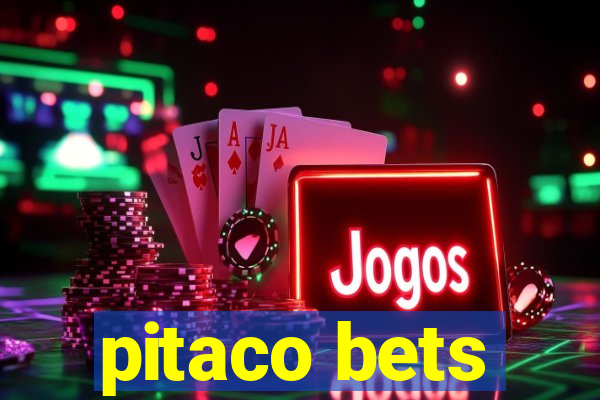 pitaco bets