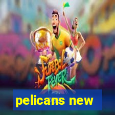 pelicans new