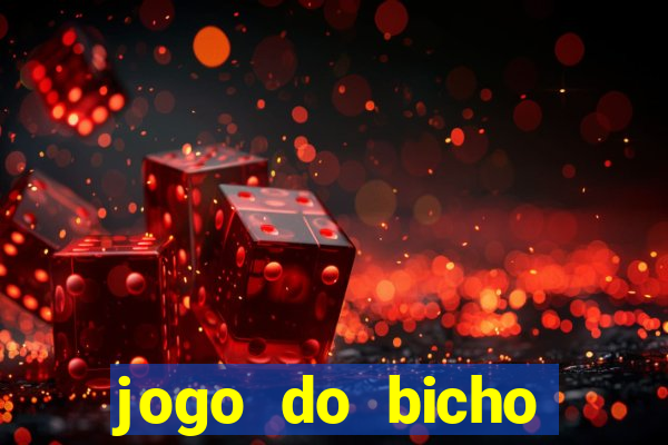 jogo do bicho online df