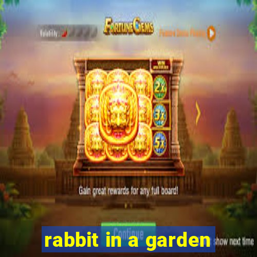 rabbit in a garden