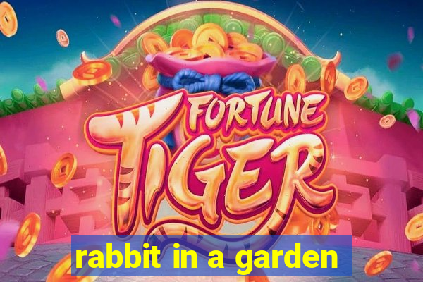 rabbit in a garden