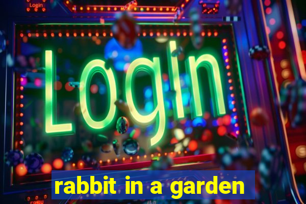 rabbit in a garden