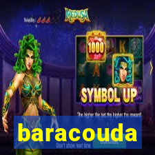 baracouda