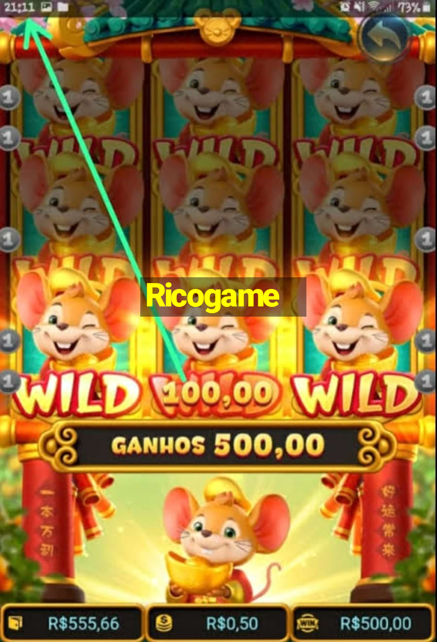 Ricogame