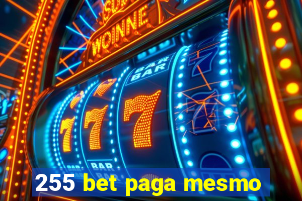 255 bet paga mesmo