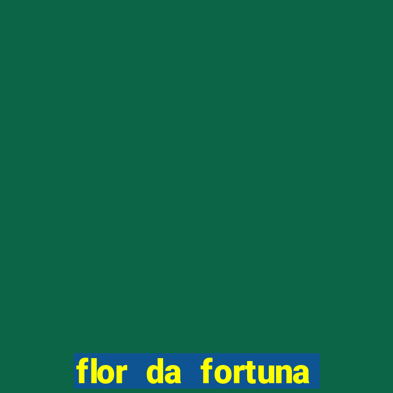 flor da fortuna como cuidar