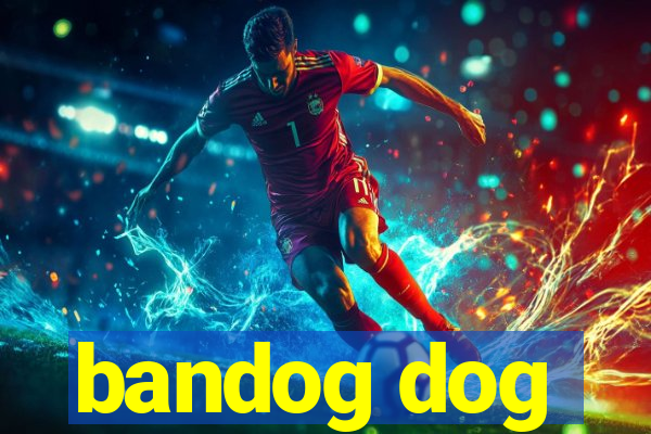 bandog dog