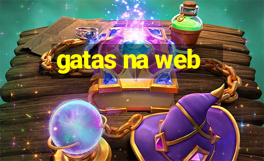 gatas na web