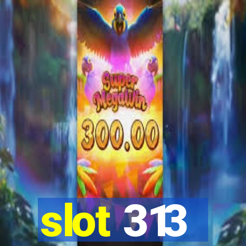 slot 313