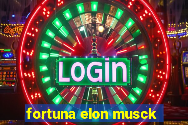 fortuna elon musck