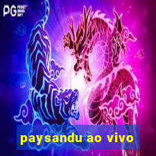 paysandu ao vivo