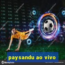 paysandu ao vivo