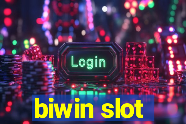 biwin slot