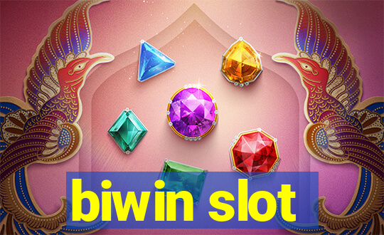 biwin slot