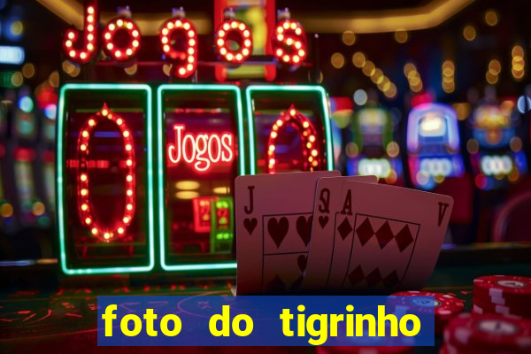 foto do tigrinho do jogo