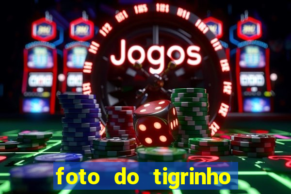 foto do tigrinho do jogo