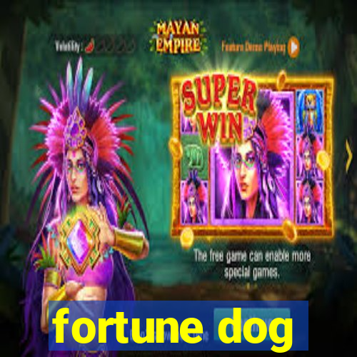 fortune dog