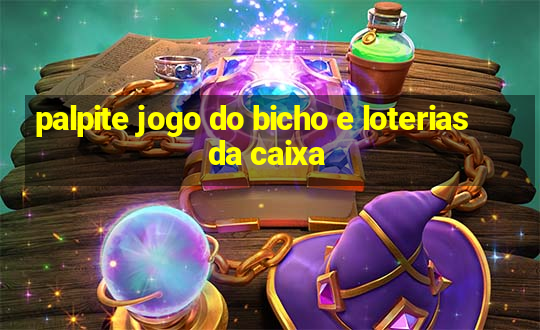 palpite jogo do bicho e loterias da caixa