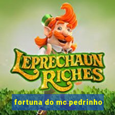 fortuna do mc pedrinho