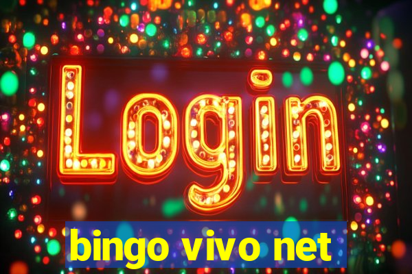 bingo vivo net