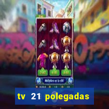 tv 21 polegadas casas bahia