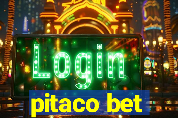 pitaco bet