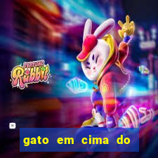 gato em cima do telhado significado espiritual