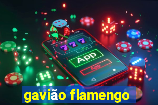 gavião flamengo