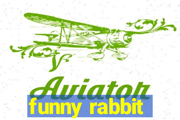 funny rabbit