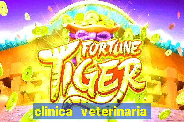 clinica veterinaria cuidar betim