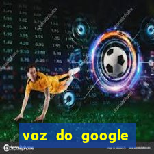 voz do google tradutor homem