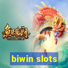 biwin slots