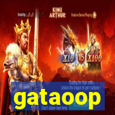 gataoop