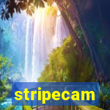 stripecam