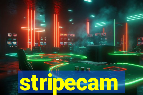 stripecam