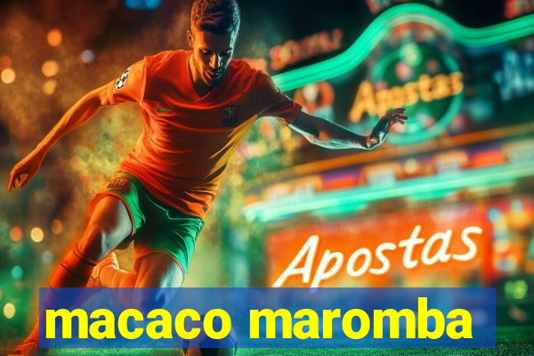 macaco maromba