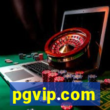 pgvip.com