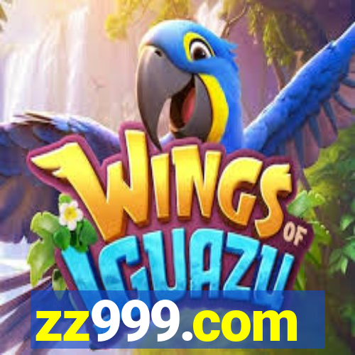 zz999.com