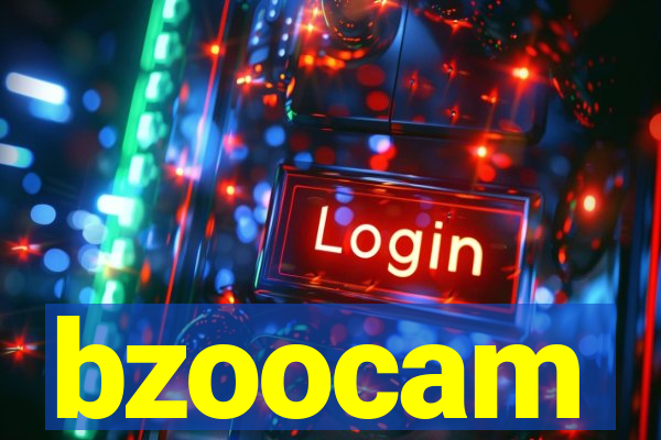 bzoocam