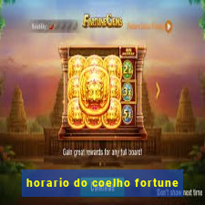 horario do coelho fortune