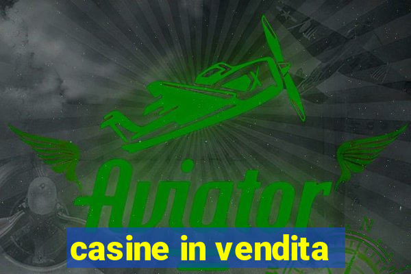 casine in vendita