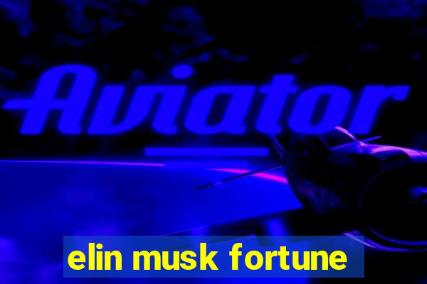 elin musk fortune