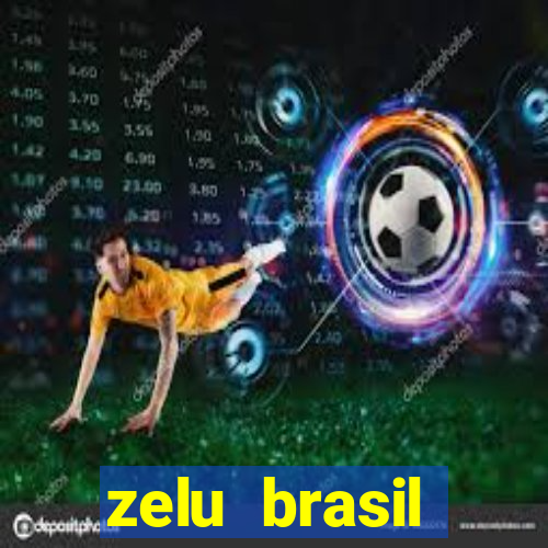 zelu brasil facilitadora de pagamentos ltda jogos